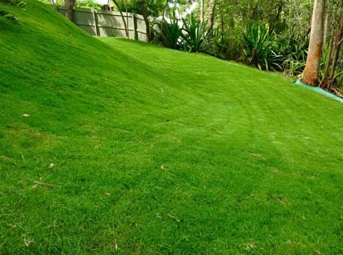 GCMS Landscaping Brisbane image of gardening and property maintence